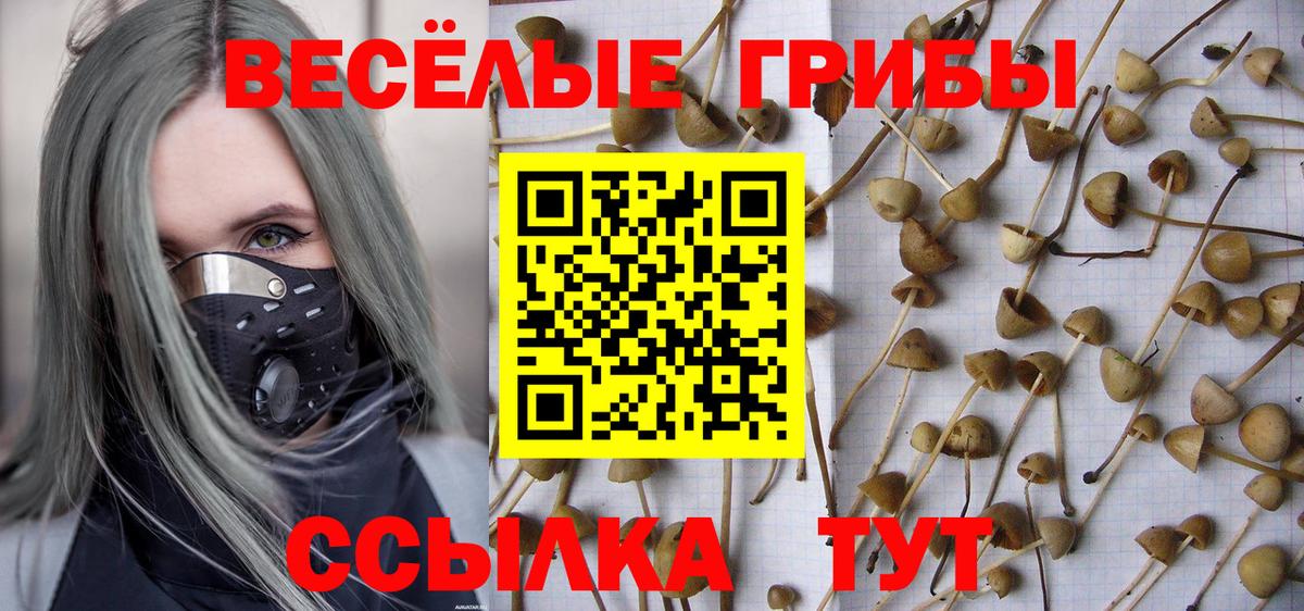 Псилоцибиновые грибы мицелий Вольск