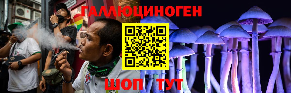 Галлюциногенные грибы Psilocybine cubensis  Вход с VPN  Вольск 